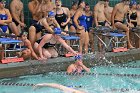 Swim vs Bentley  Wheaton College Swimming & Diving vs Bentley University. - Photo by Keith Nordstrom : Wheaton, Swimming & Diving